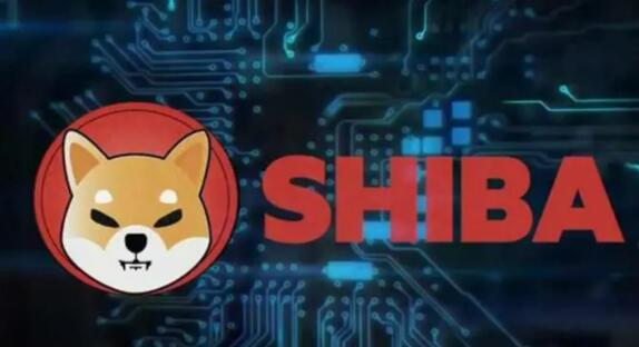 前九买币排行榜-虚拟货币行情分析软件2024行说明